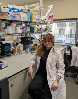 cristina bayo llorens