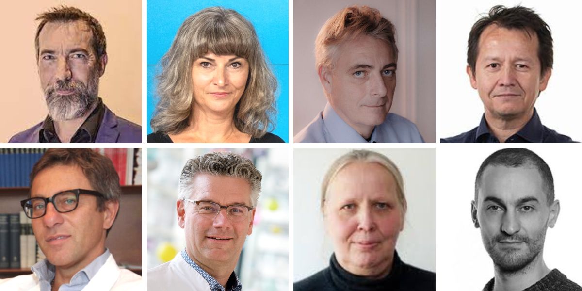 expertos internacionales